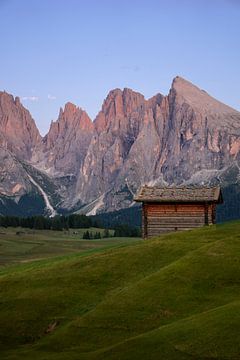 An almhut in front of the Sassolungo and Sasso Piatto peaks