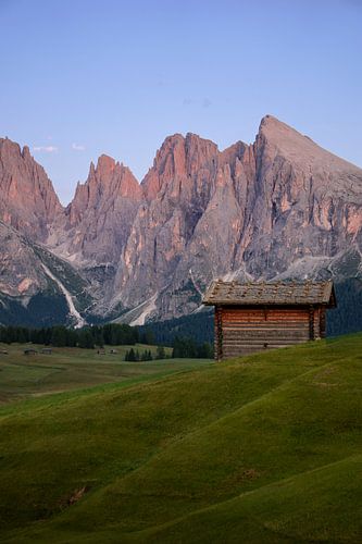 Een almhut voor de Sassolungo en Sasso Piatto pieken