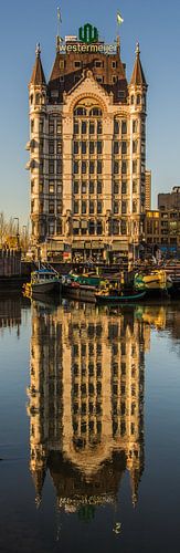 White House Rotterdam