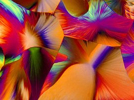 Dopamine Hydrochloride von André Wieringa