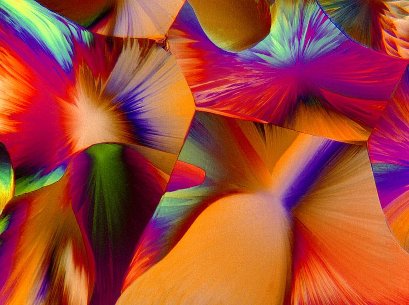 Dopamine Hydrochloride par André Wieringa