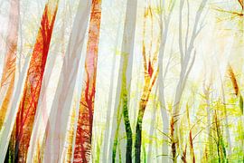 Sommer Wald von FRESH Fine Art