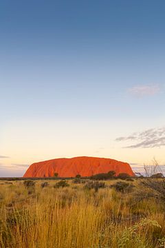 Uluru von Jan Schuler
