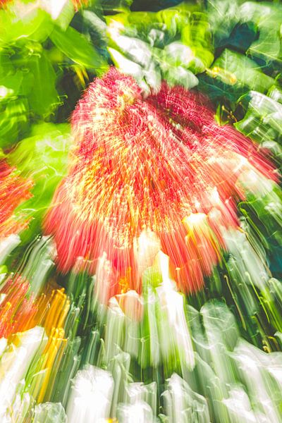 flower flower II by Jan Peter Jansen