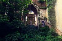 Nature takes over