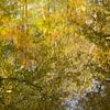 Weerspiegeling van herfstbladeren van Barbara Brolsma