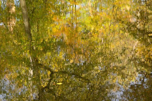 Reflection of autumn leaves