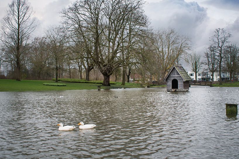 Stadspark Franeker by Steven Otter