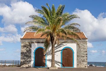 Kleurrijk huisje met palmboom Madeira van Sander Groenendijk