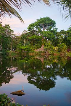 Landschap in Jamaica