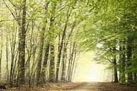 De lente begint!