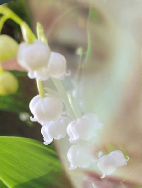 Spring by Marianna Pobedimova