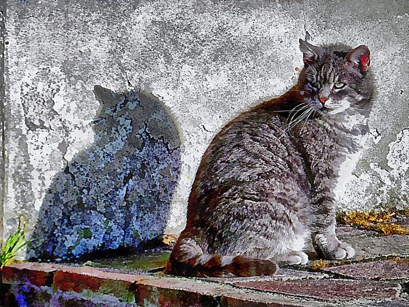 Looking Back Over My Shoulder by Dorothy Berry-Lound