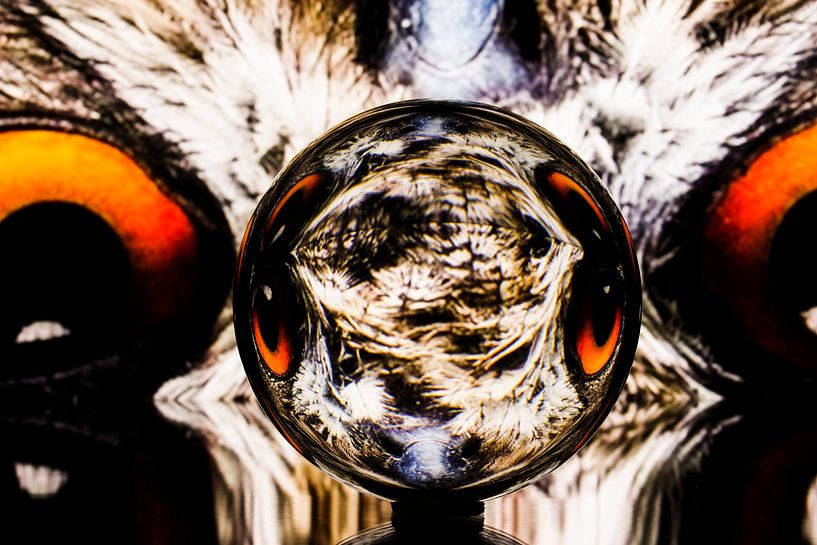 Lensball Fantasy Owl 001 by De FotoBakker