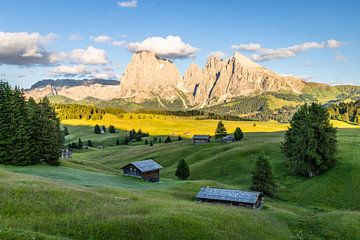 Alpe Di Siusi by Gunter Nuyts