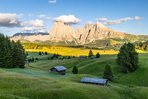 Alpe Di Siusi