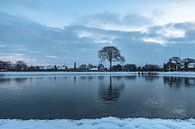 Winter gezien vanuit Natuurgebied Moerenburg van Freddie de Roeck thumbnail