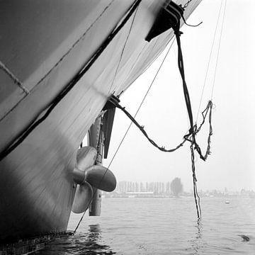 De Biesbosch Dordrecht shipyard by Dordrecht van Vroeger