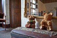 Chateau teddy beren van Rene du Chatenier thumbnail