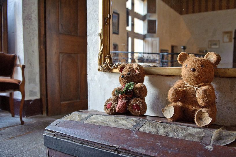 Chateau teddy beren van Rene du Chatenier