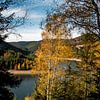 Herfst in de Ohratalsperre van Alexander Wolff