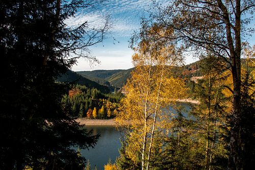 Autumn at the Ohratalsperre