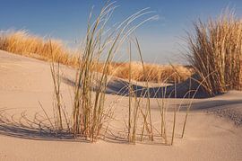 Beach at the island Schiermonnikoog in the Wadden sea by Sjoerd van der Wal Photography