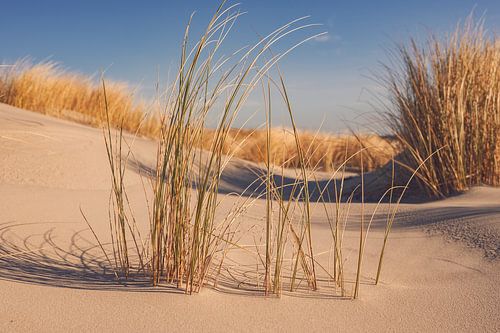 Strand op het eiland Schiermonnikoog in de Waddenzee