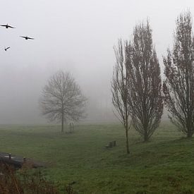 Een verlaten motorjacht in de mist van Gaby Hendriksz