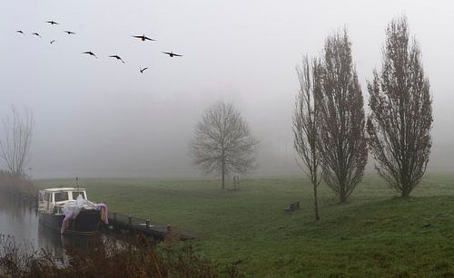 Een verlaten motorjacht in de mist