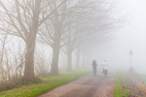 Mistig landschap met twee fietsers