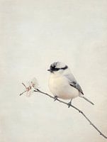 Vogeltje op een tak