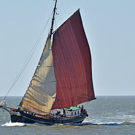 Het bruine vloot schip Risico van Piet Kooistra