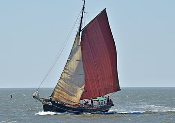 Het bruine vloot schip Risico van Piet Kooistra