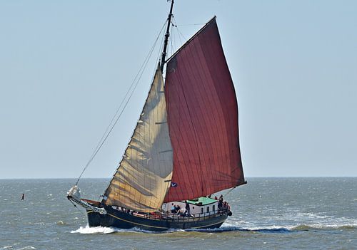 Het bruine vloot schip Risico