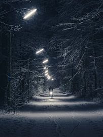 Night Biker by Alexander Dorn