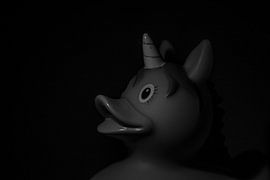 unicorn(eenhoorn eend)