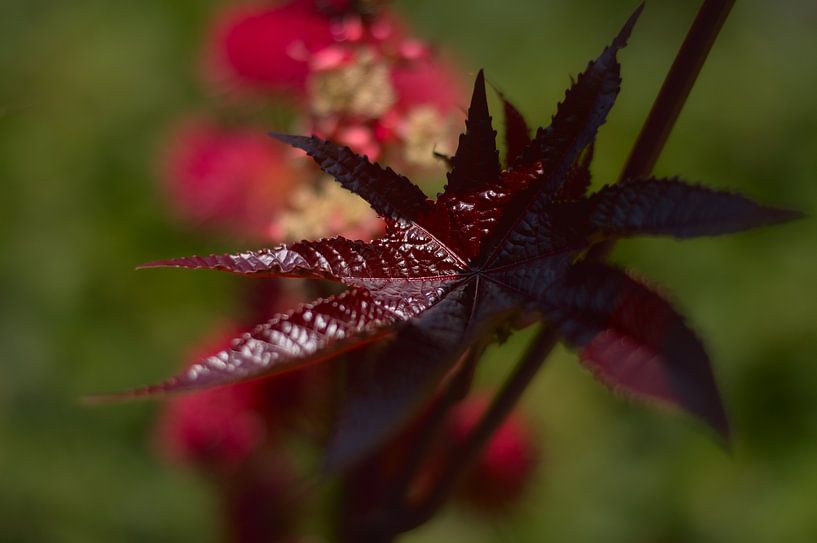 Landschaft 1 von True Color Stories