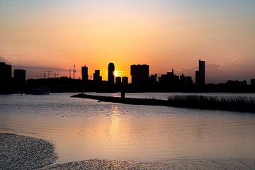 Silhouet Skyline Rotterdam van Tanja Otten Fotografie