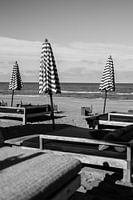 Bloemendaal by the sea