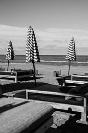 Bloemendaal am Meer von Sabine Gaastra