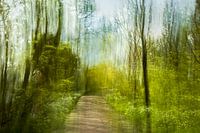 Wandeling in de verbeelding