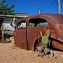 The cactus car van Gerard Oonk thumbnail