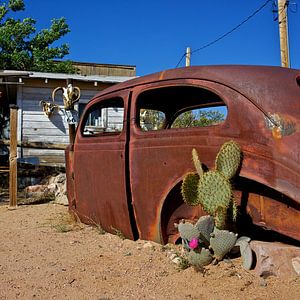 The cactus car von Gerard Oonk