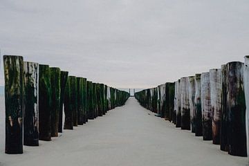 Stapelköpfe am Strand von Zeeland von Deborah Hoogendijk - de Does