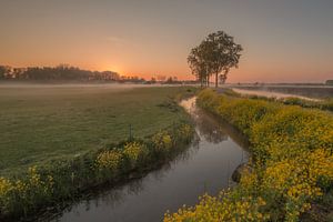 Typisch holländische Landschaft von Moetwil en van Dijk - Fotografie