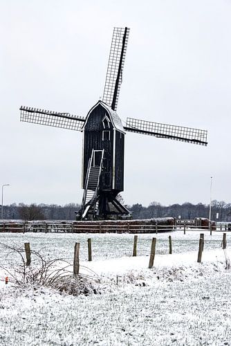 Le moulin de Wissink dans la neige