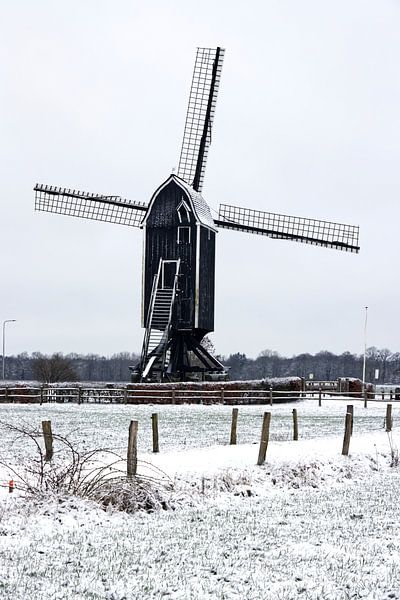 Wissink's mill in the snow by sanelizs