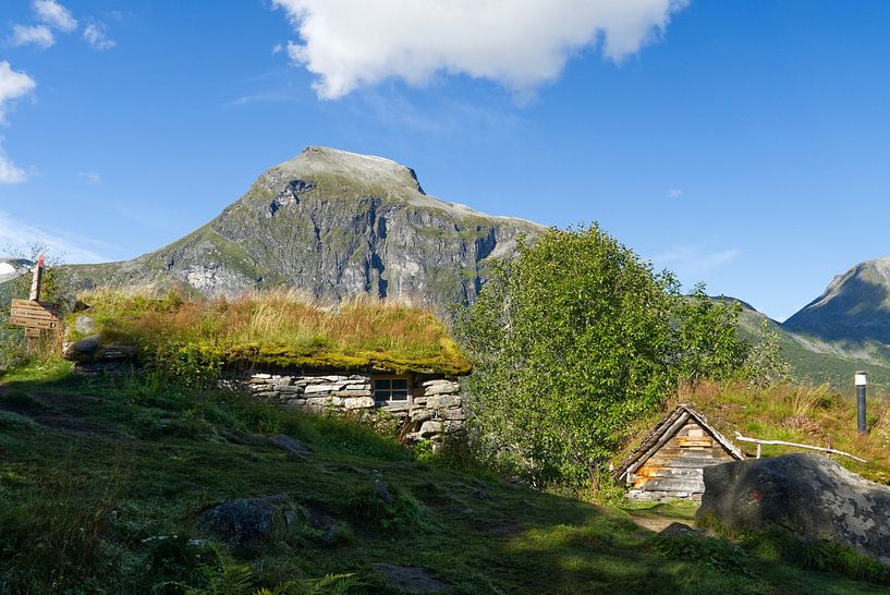 Alm Homlongsætra bij de Geirangerfjord met berg van Anja B. Schäfer