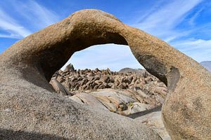 Arc dans les collines de l'Alabama